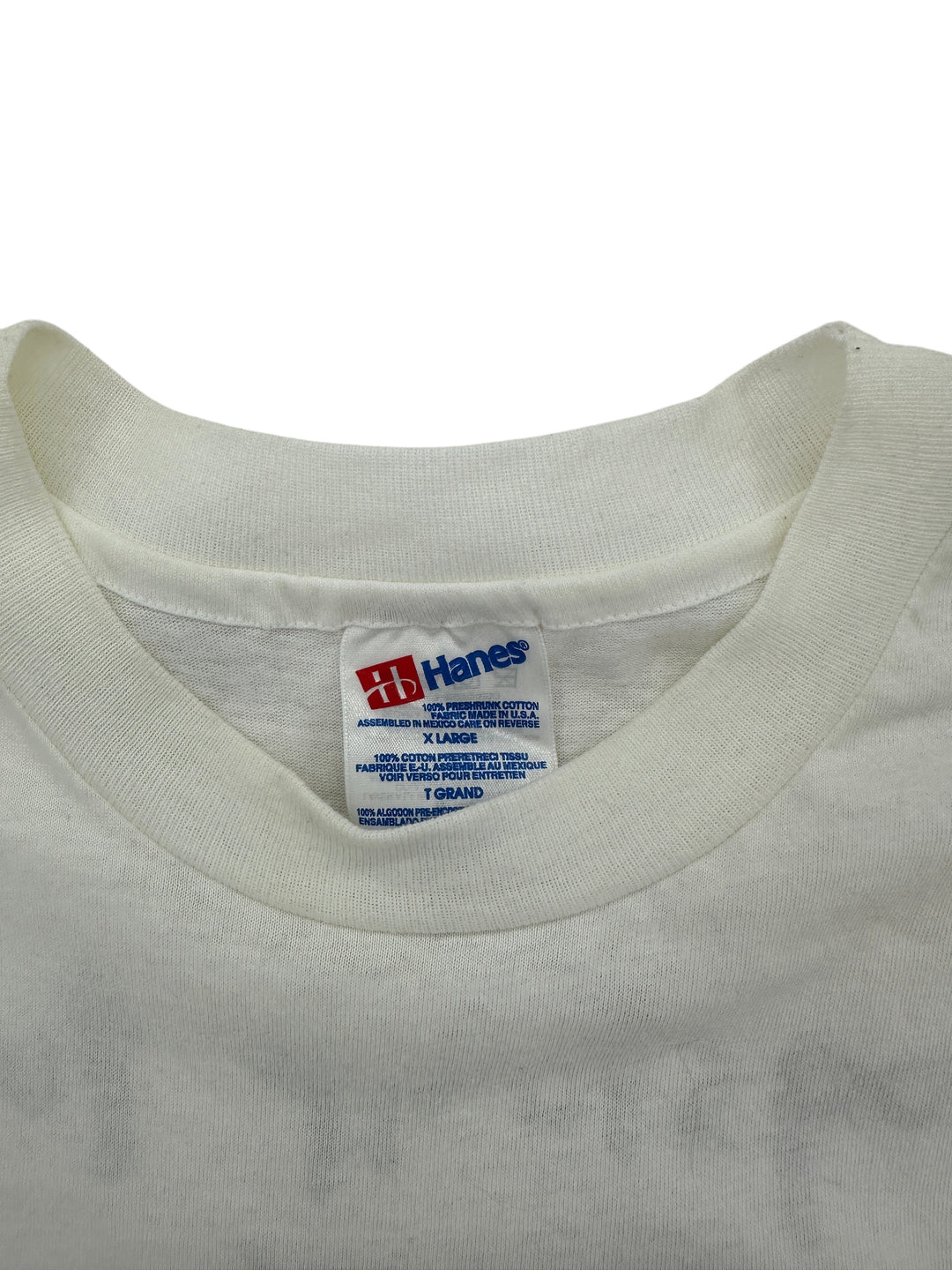 1990s Silverchair Frogstomp t-shirt