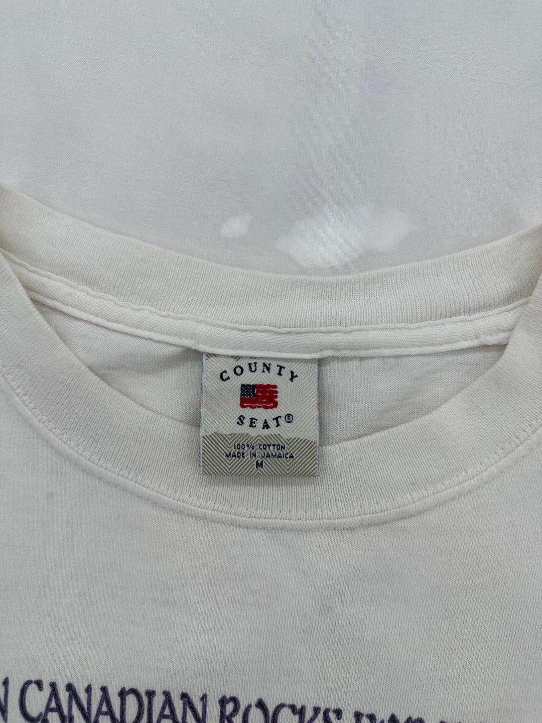 2000s Rolling Stones Downsview Park T-shirt