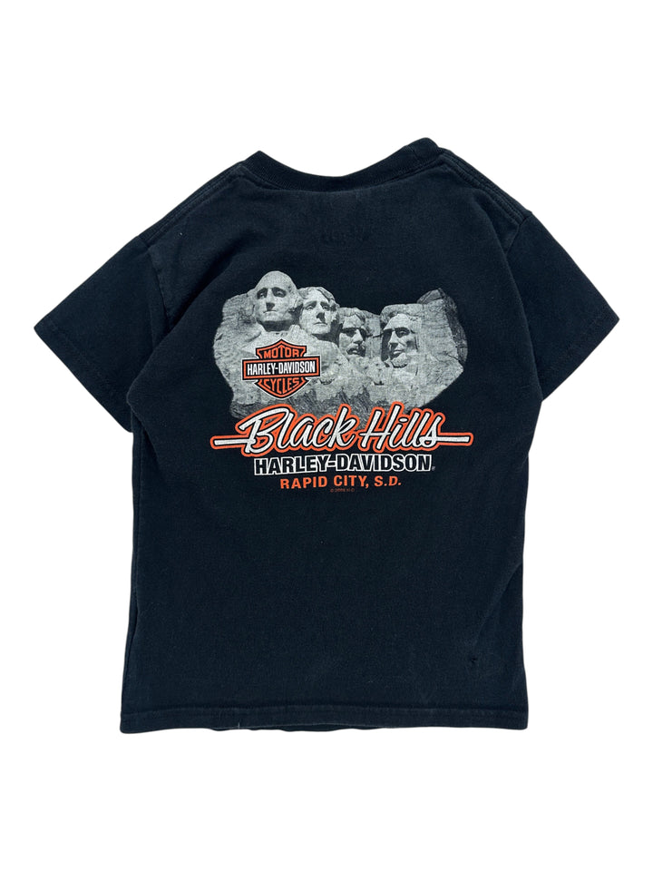 2010s Harley Davidson Looney Tunes Sturgis T-shirt
