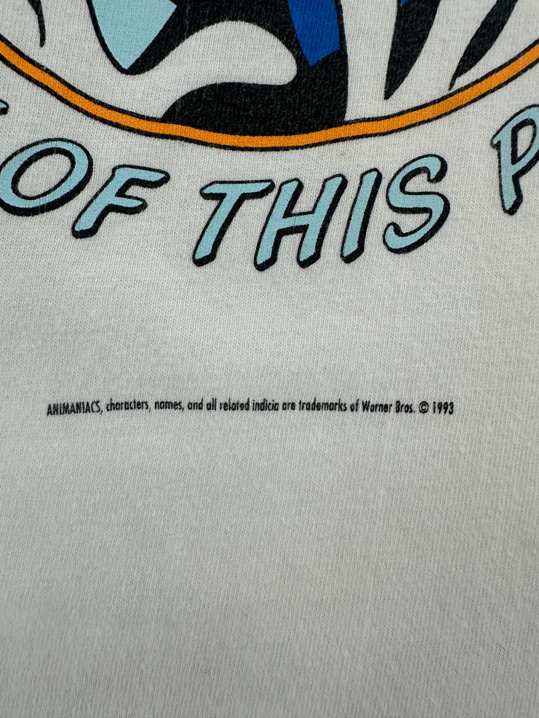 1990s Animaniacs T-shirt