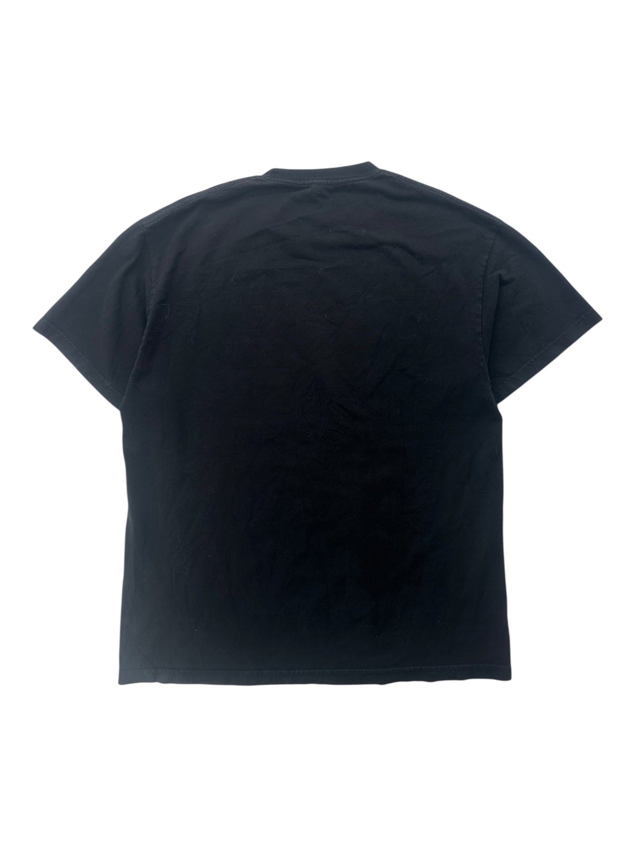 2000s Death "Human" Band T-shirt