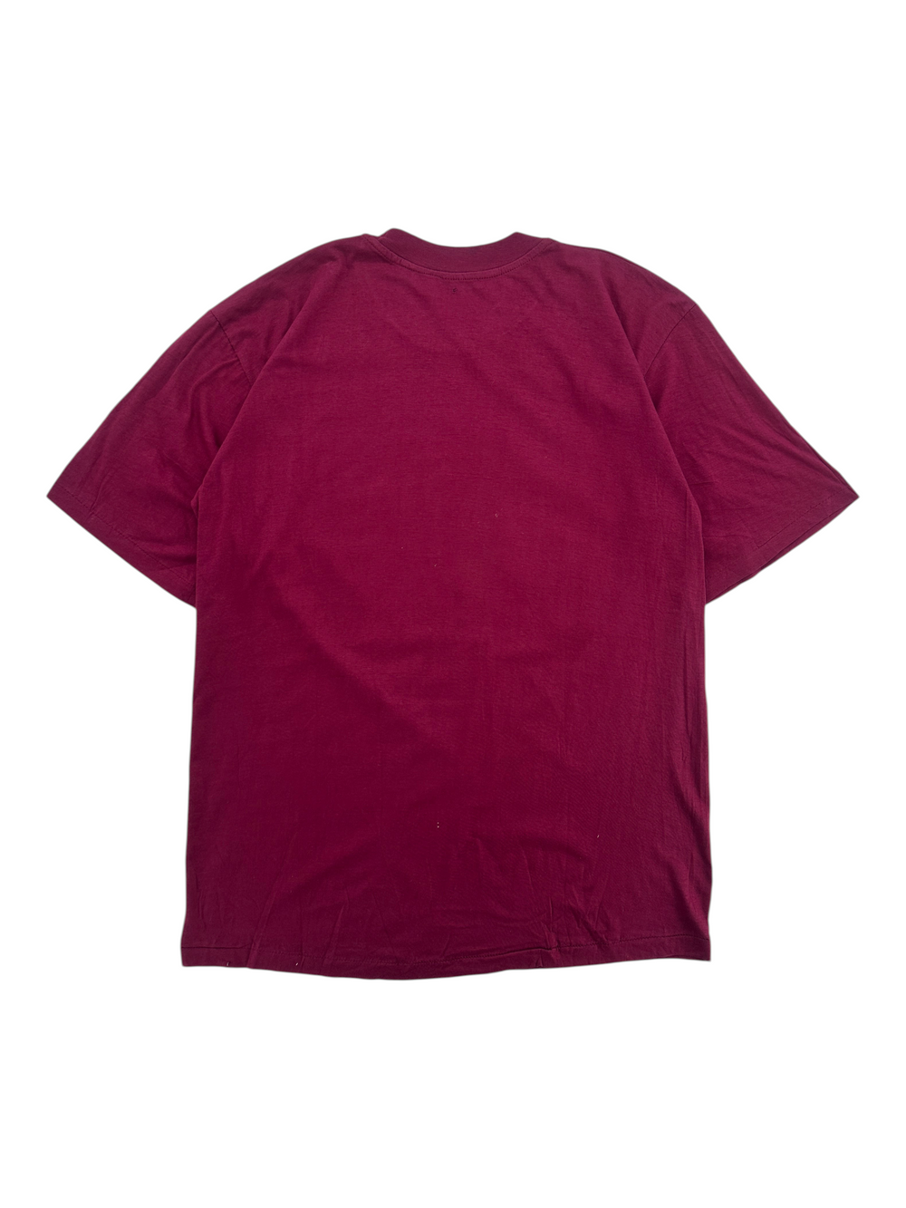 Exile Vintage maroon 1990s Michelangelo Creation of Adam t-shirt, back view of plain cotton crew neck tee