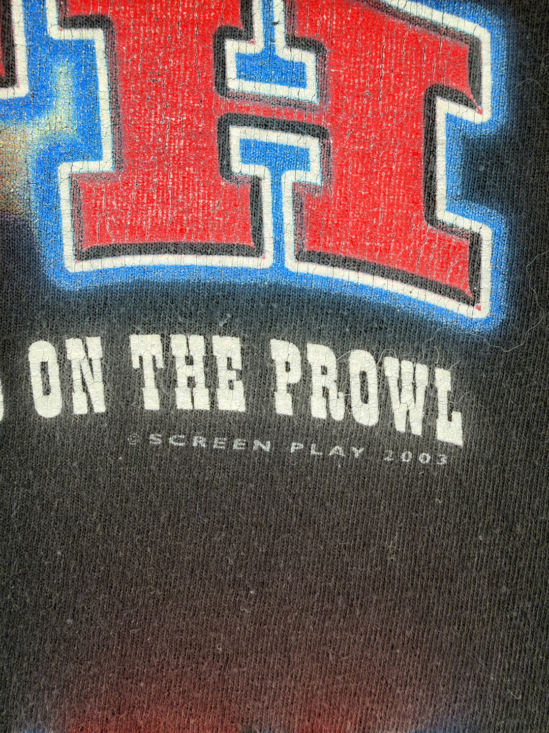 Exile Vintage 2000s Toby Keith On The Prowl graphic t-shirt with distressed red and blue screen print detail