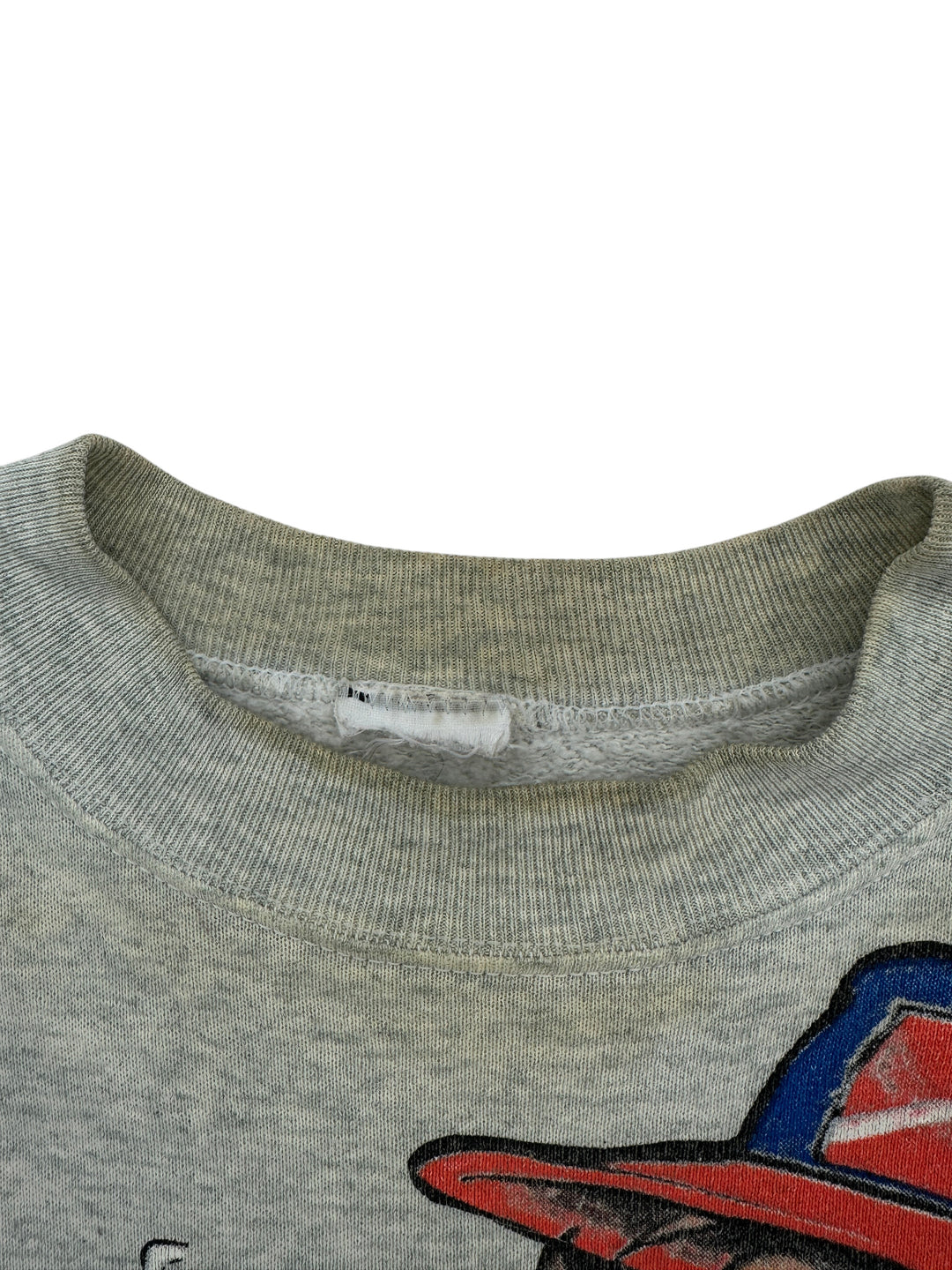 1990s LooneyTunes Taz Race Car Crewneck