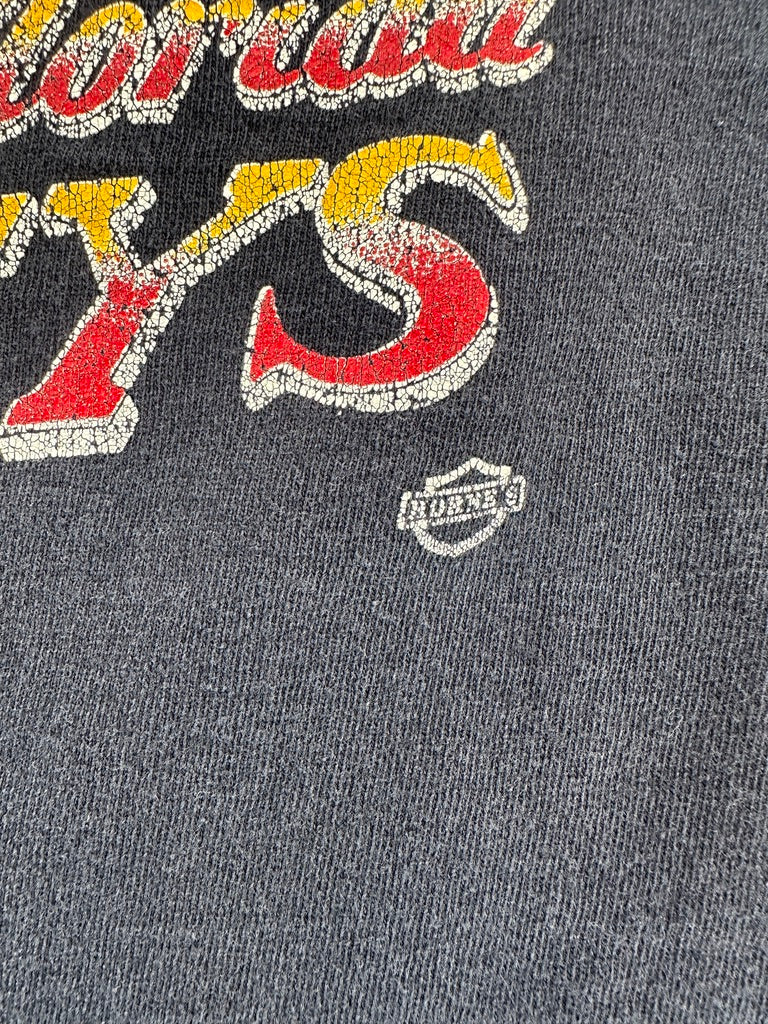 1980s Harley Specialities Eagles T-shirt