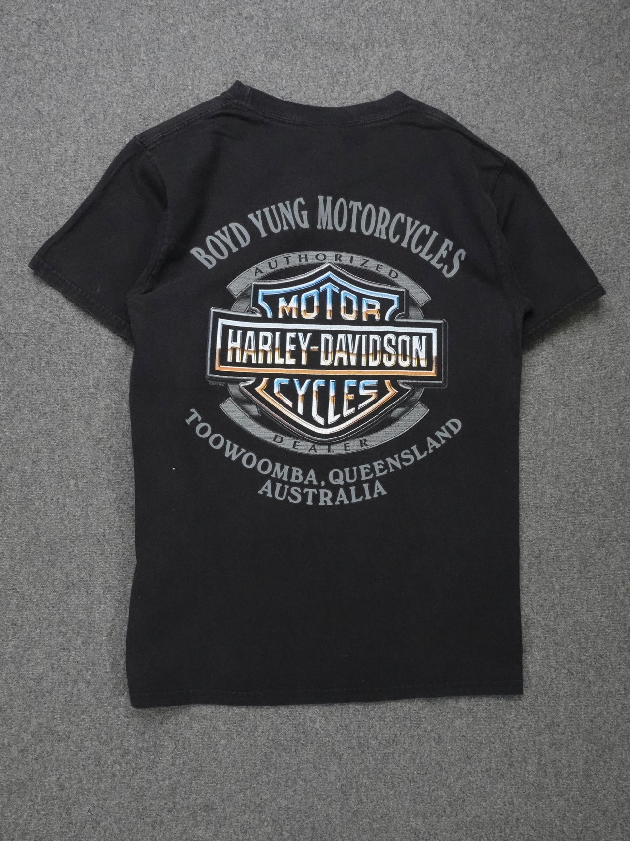 Vintage 2000s | Harley Davidson T-Shirt | "Southern Cross Biker"