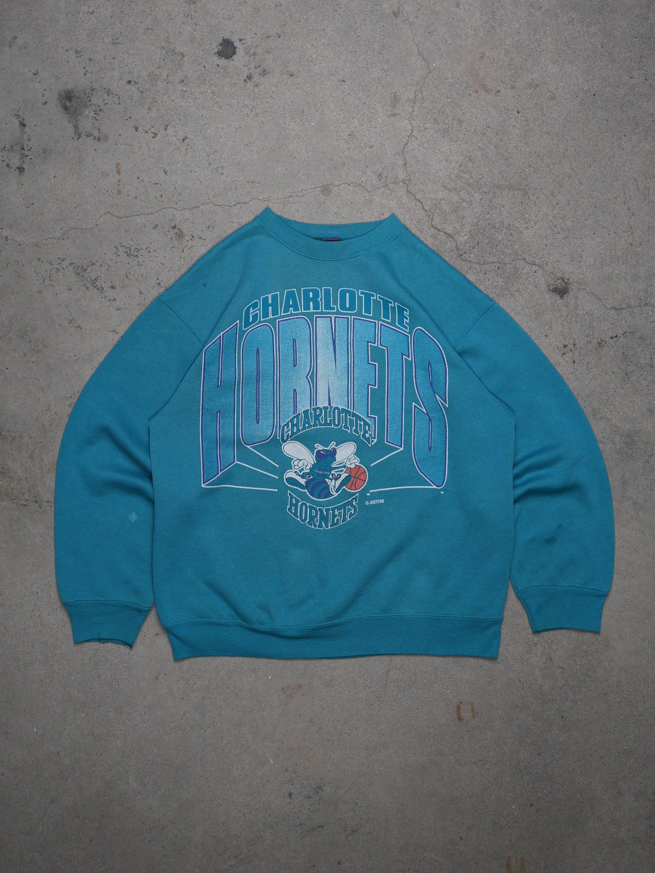 1990S - CHARLOTTESVILLE HORNETS CREWNECK SWEATSHIRT