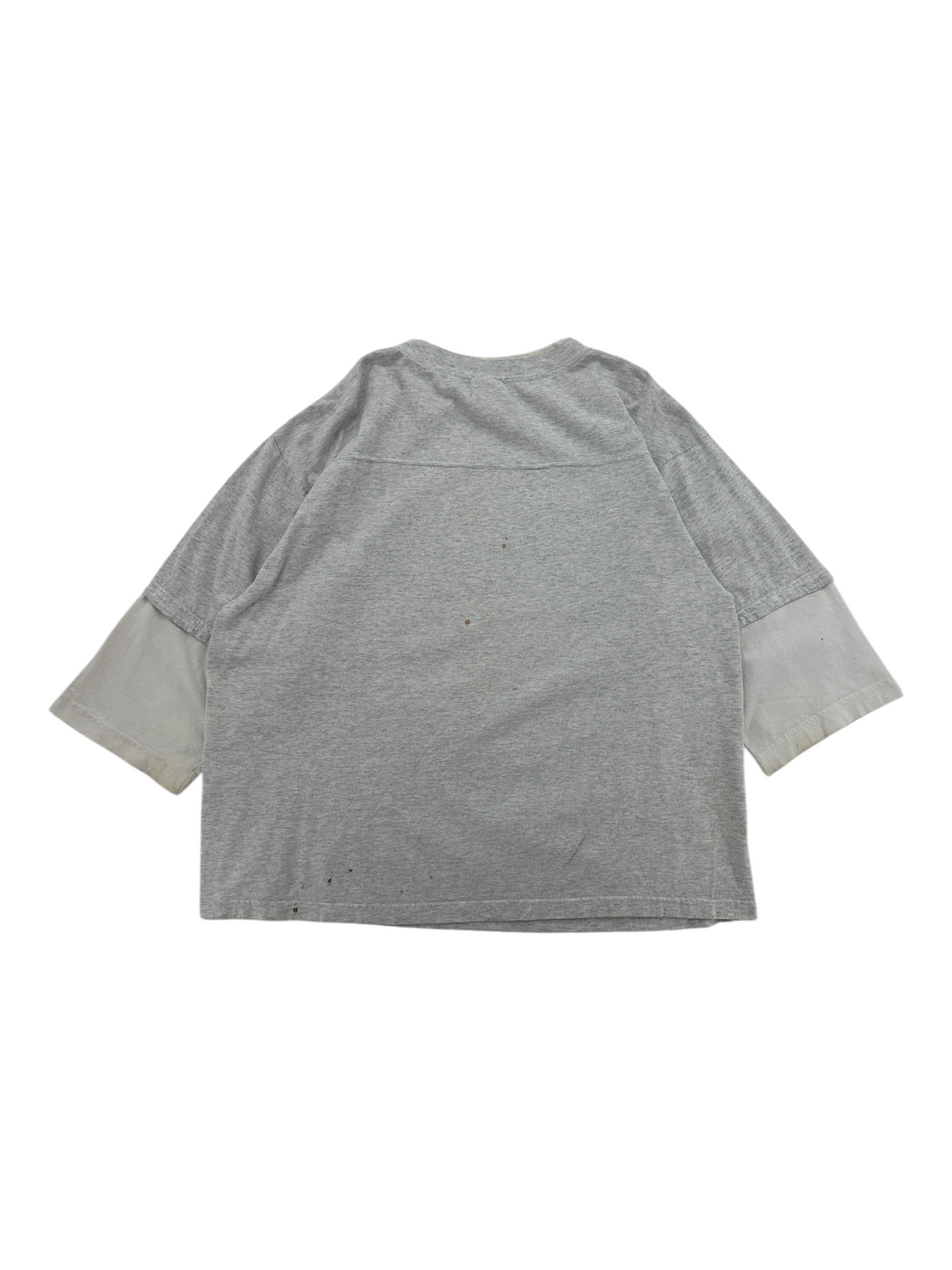 Exile Vintage grey 1990s Looney Tunes Dolphins graphic t-shirt, back view showing layered sleeve detail