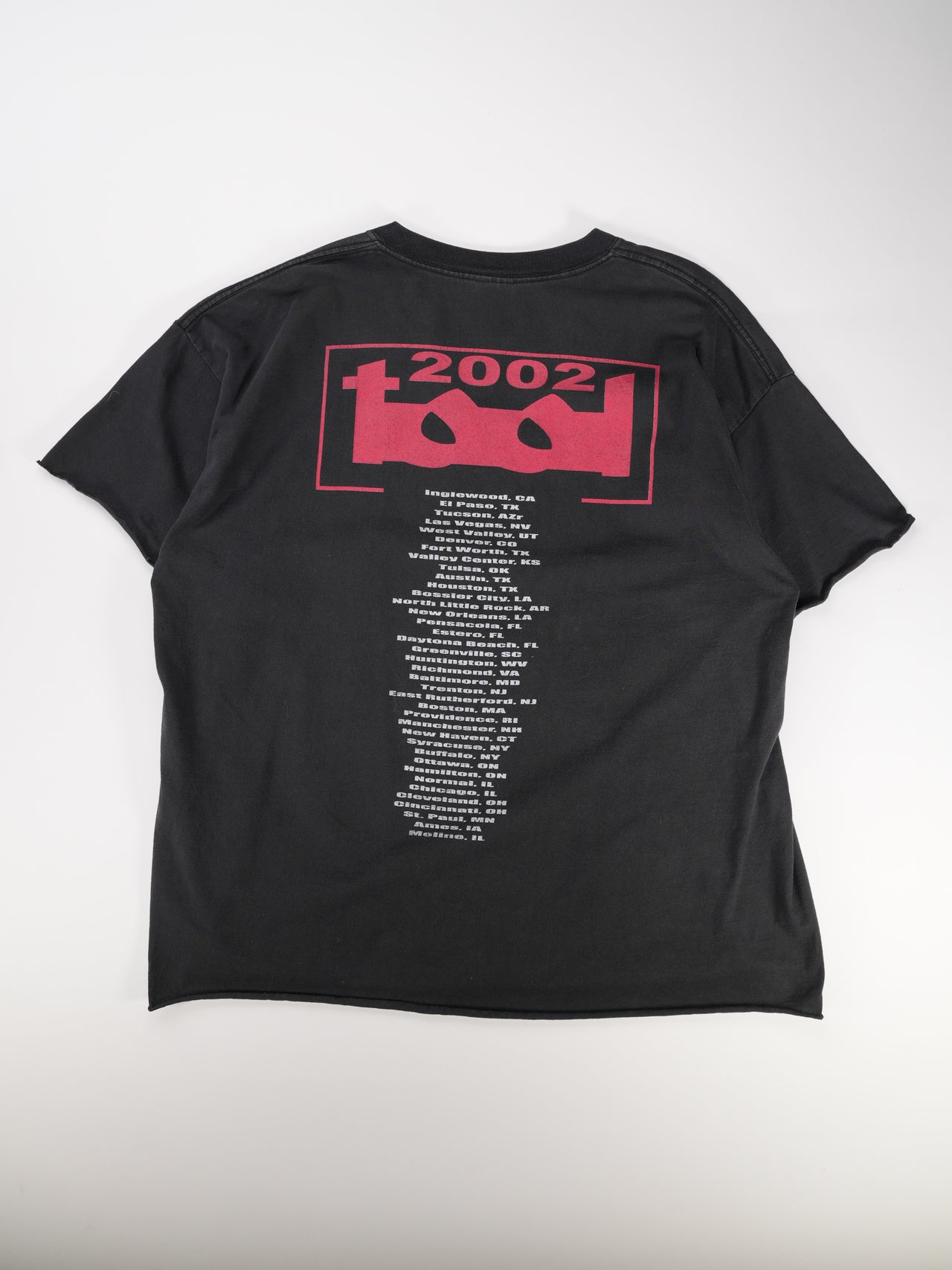 2000s - Tool Anatomical Graphic Tour T-Shirt