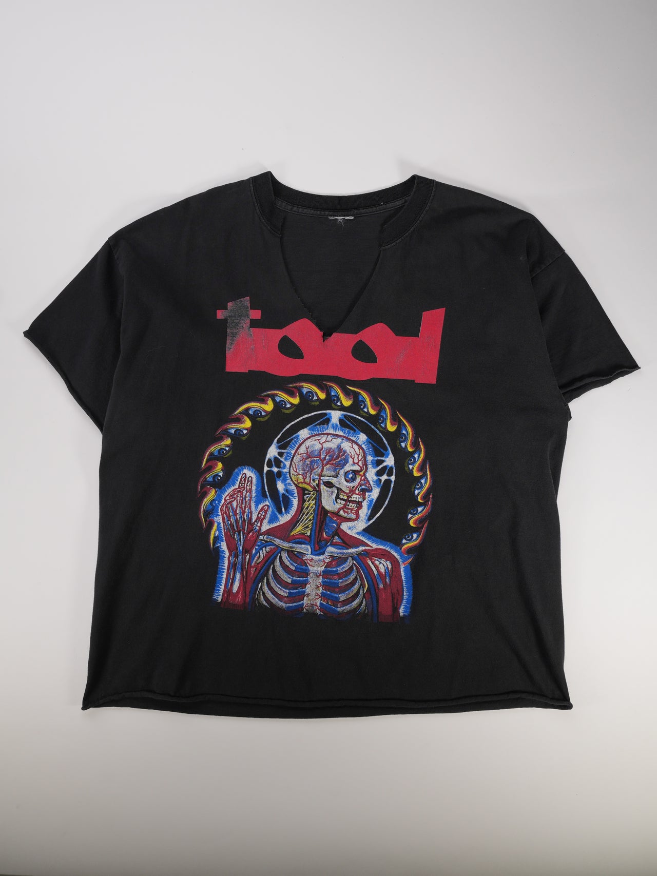 2000s - Tool Anatomical Graphic Tour T-Shirt